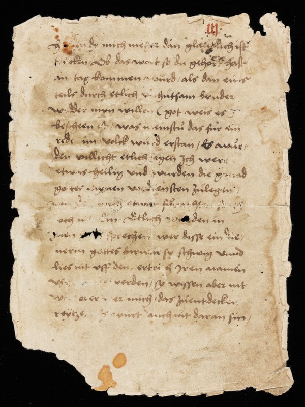 Cover Image - Codex Wolhusensis