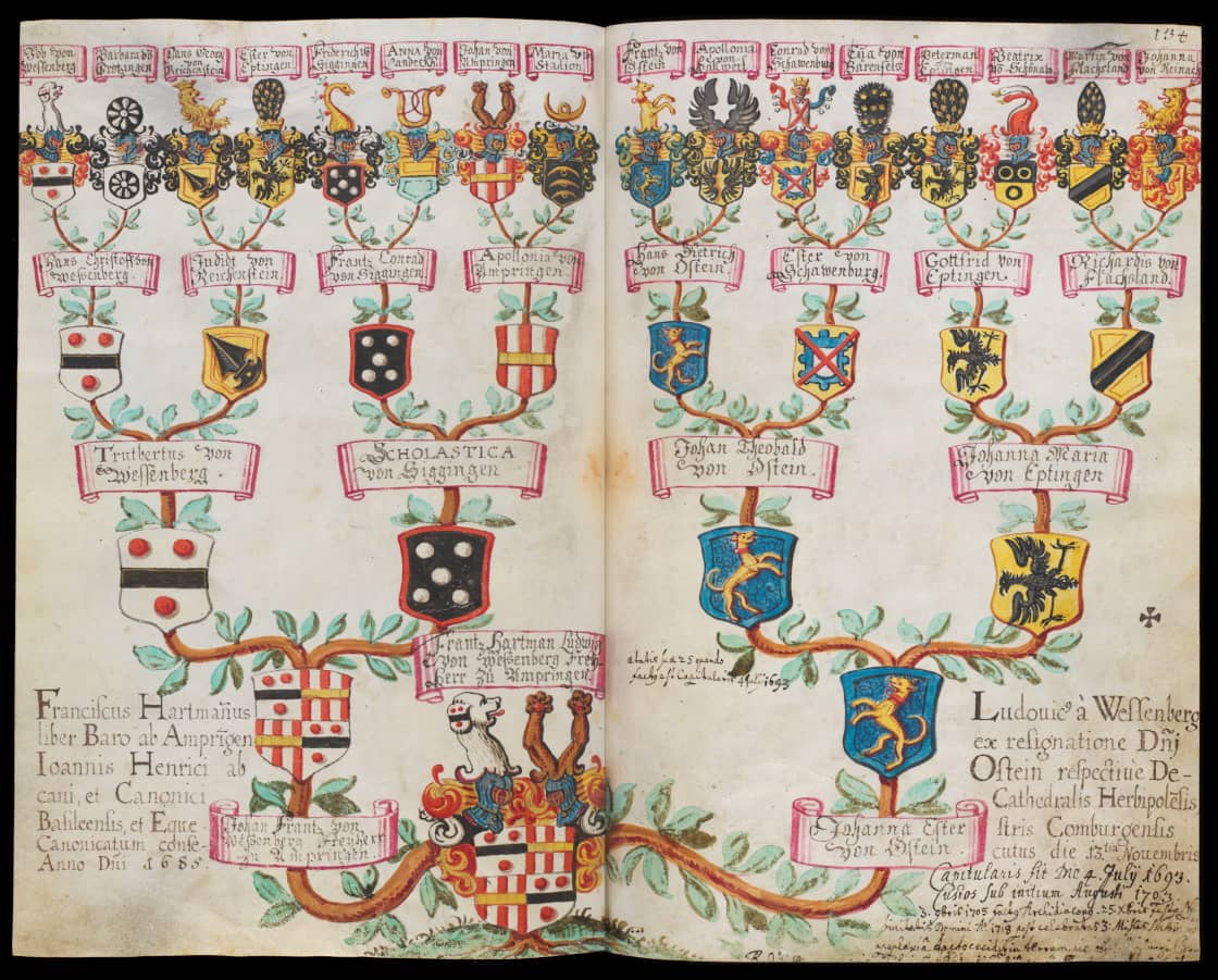 Delémont, Musée Jurassien d'Art et d'Histoire, MJ. 1950.20, f. 1_0133v and 1_0134r – Genealogical Register of the Canons of the Diocese of Basel, 1502-1794