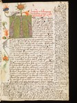 Preview Page