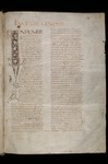 Preview Page