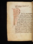 Preview Page
