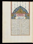Preview Page