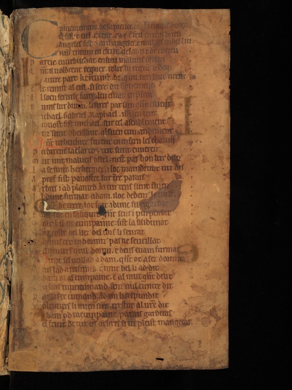 Buchumschlag - Bibelübersetzung mit alexandrinischen Strophen