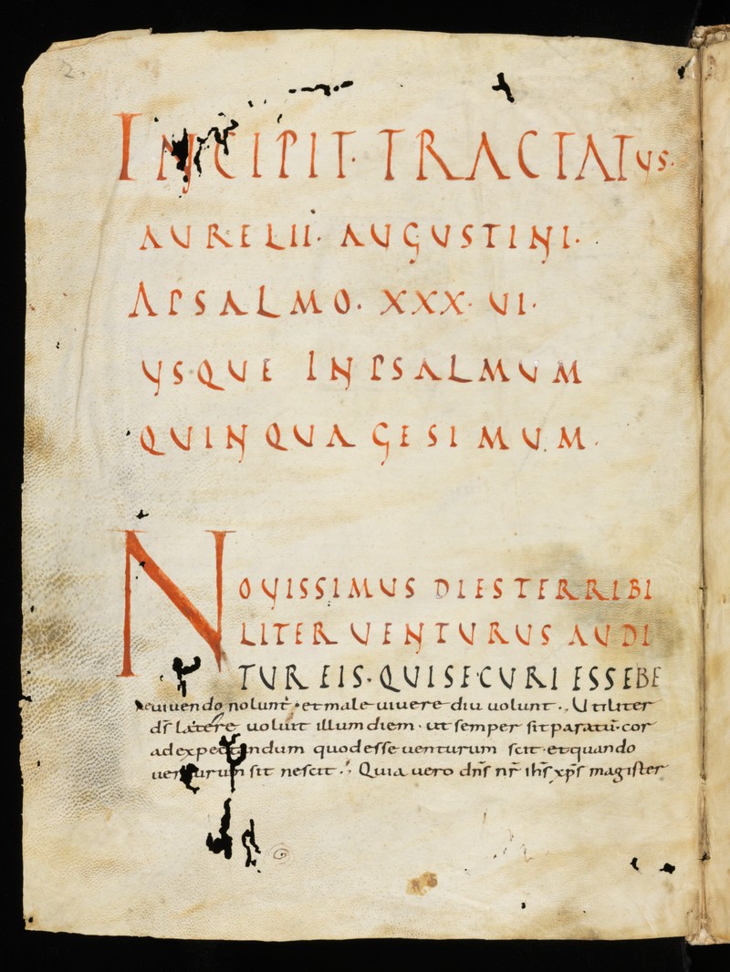 Buchumschlag - In Psalmos, Band 4 (XXXVI-L)