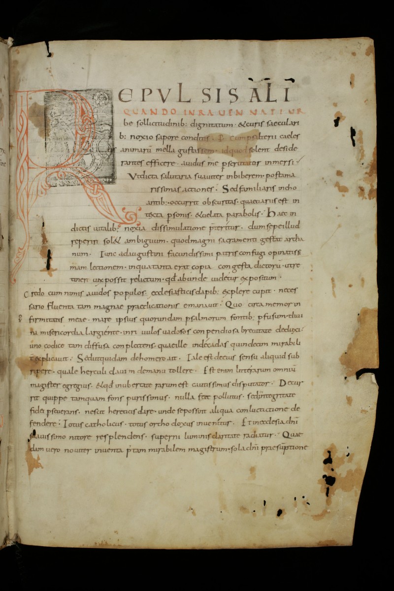 Buchumschlag - Expositio psalmorum Band 1 (I-L)