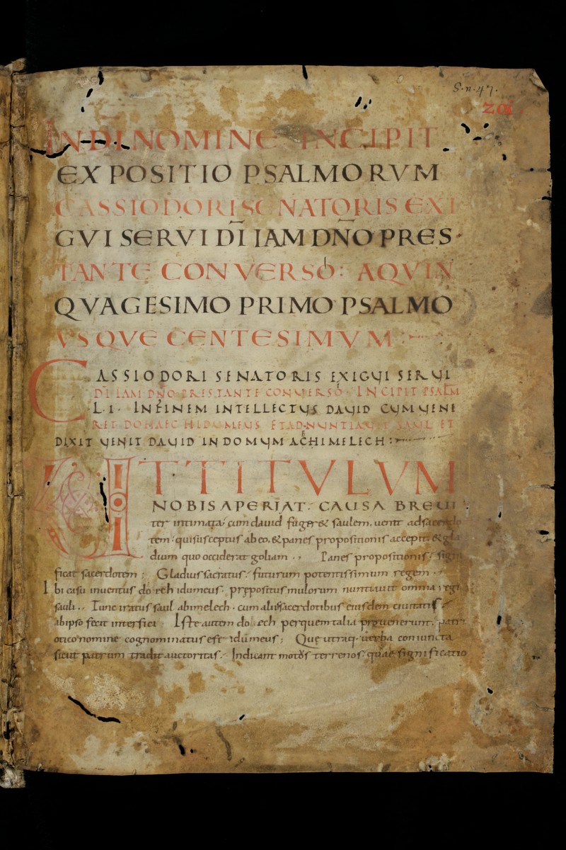 Buchumschlag - Expositio psalmorum Band 2, (LI-C)