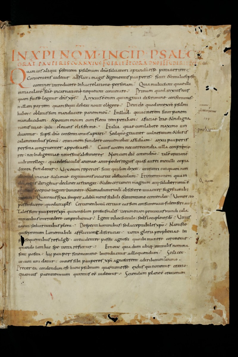 Buchumschlag - Expositio psalmorum Band 3, (CI-CL)