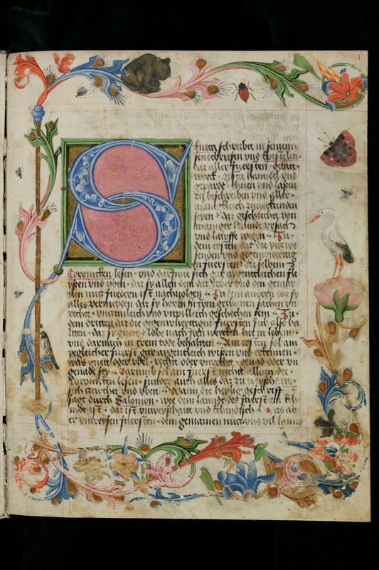 Buchumschlag - Liber Alexandri de proeliis