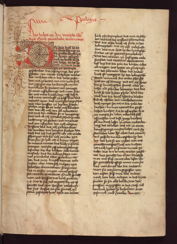 Buchumschlag - Biblia germanica