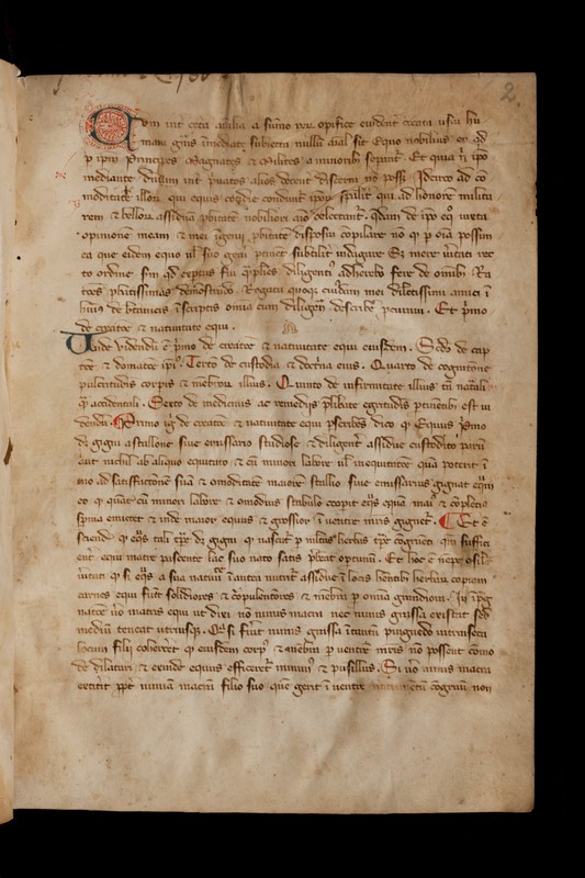 Buchumschlag - Miscellanhandschrift zur Pferdemedizin