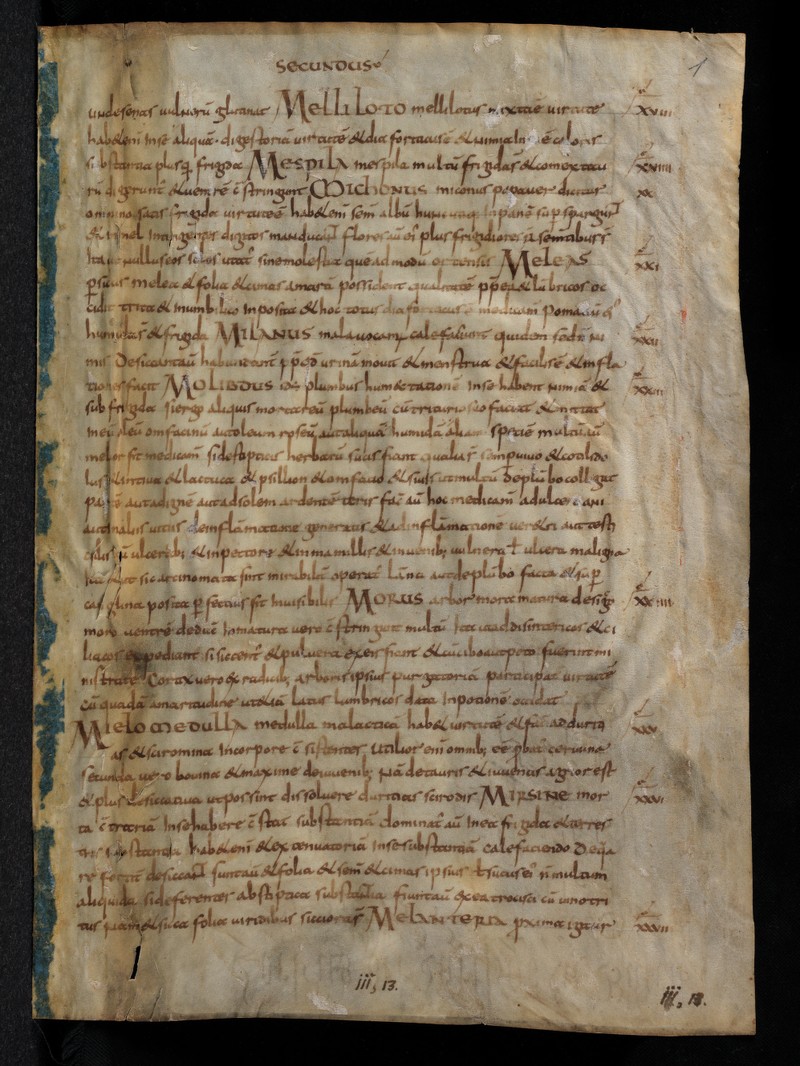 Buchumschlag - Ad Ennapium; Ad Eusthatium (Fragment)