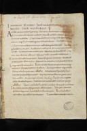 Basilius Caesariensis; Notker Balbulus; Vita Findani; Acta Apostolorum; Visio Pauli; Cassiodorus; Andreas Bergamensis